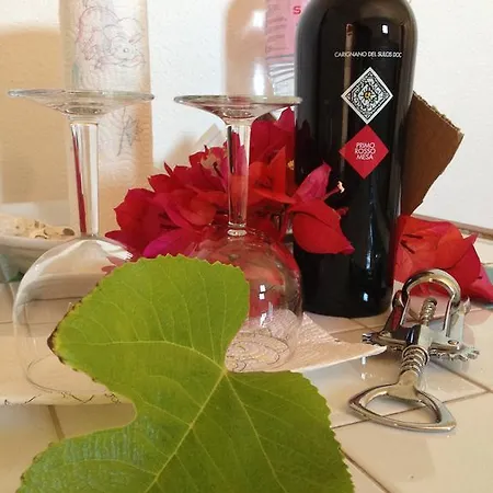 公寓 康卡维德酒店 *